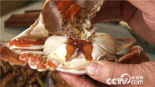 螃蟹进棚 凭啥3个月净赚500多万元(2016.12.20)