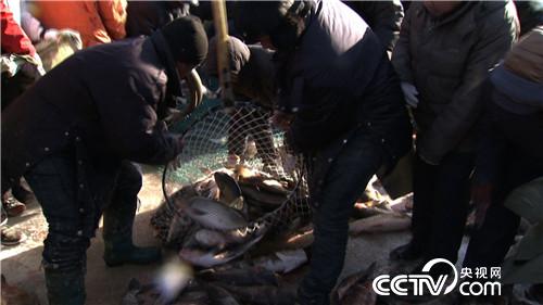 一天收入160万的财富秘密(20170103)