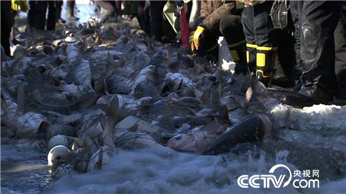 一天收入160万的财富秘密(20170103)