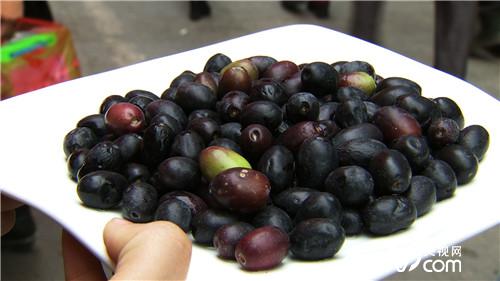 难吃果子 年入两千万(20170105)