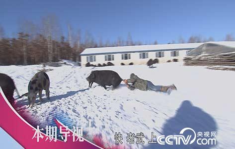 食尚大转盘：大口吃肉 不怕长肉 1月15日