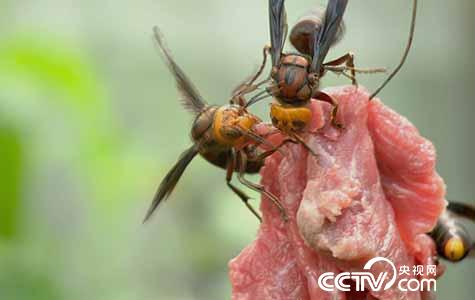 [绿色时空]小创意化解财富大烦恼 2月5日