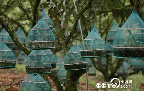 [绿色时空]小创意化解财富大烦恼 2月5日