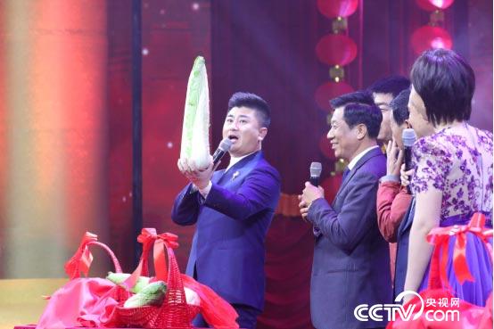 冯立田向大家展示包尖白菜