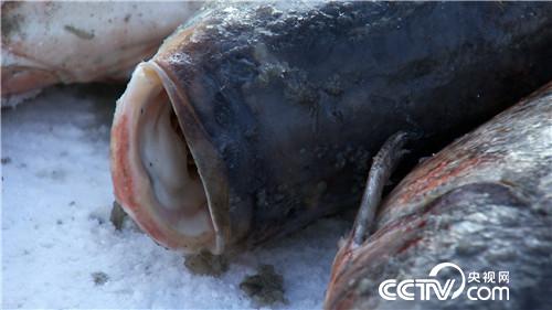 一网2000万 他凭啥多赚10倍钱