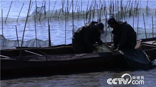 一网2000万 他凭啥多赚10倍钱