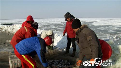 一网2000万 他凭啥多赚10倍钱