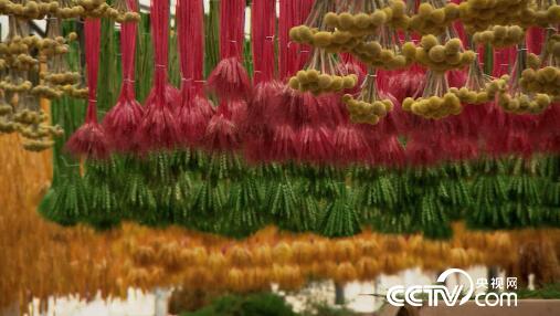 [绿色时空]小花草做出&ldquo;俏&rdquo;生意 2月26日