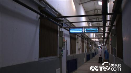 门外汉养猪有高招 猪粪还能赚千万(02170307)