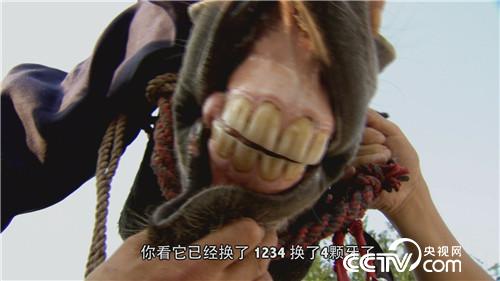 倔小伙养倔驴 如何年入千万(20170310)