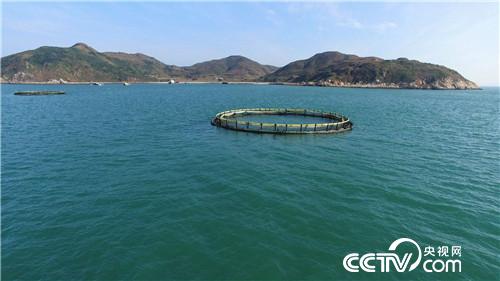 养鱼不靠鱼赚钱的千万财富秘密(20170314)