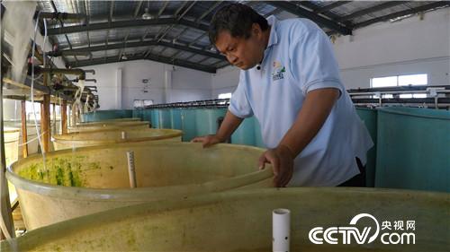 养鱼不靠鱼赚钱的千万财富秘密(20170314)