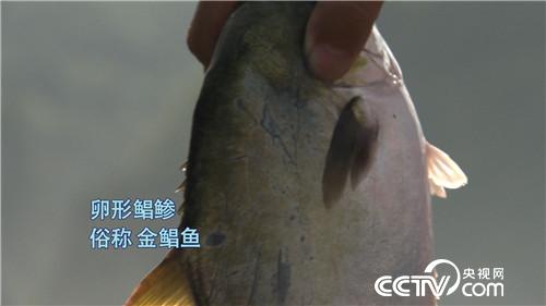 养鱼不靠鱼赚钱的千万财富秘密(20170314)