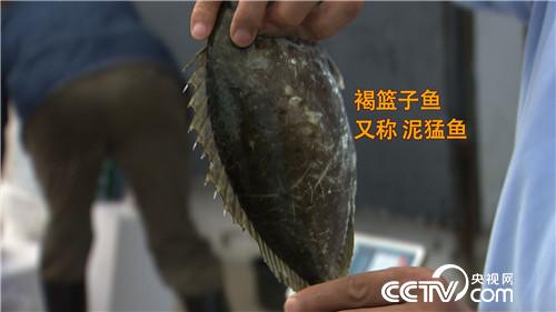 养鱼不靠鱼赚钱的千万财富秘密(20170314)