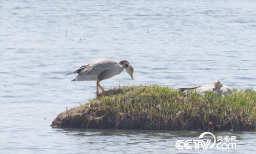 [绿色时空]情系多彩三江源头 3月26日