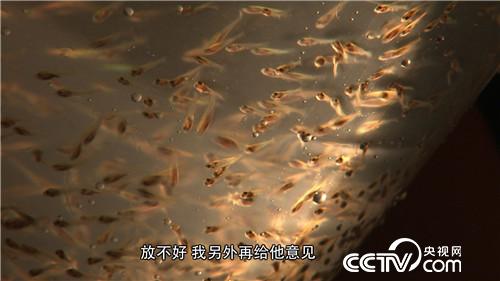 千万富翁输光家产之后(20170321)