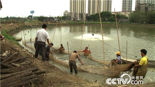 千万富翁输光家产之后(20170321)