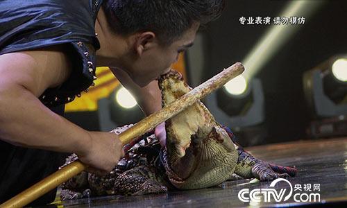 阳光大道：为你点赞 3月26日