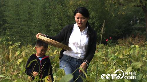 [致富经]海归女博士进村当农民之后 20170327 