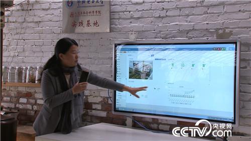 [致富经]海归女博士进村当农民之后 20170327 