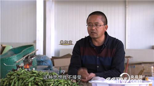 [致富经]一根筋的男人如何从500元起家到年入6000万 20170405 