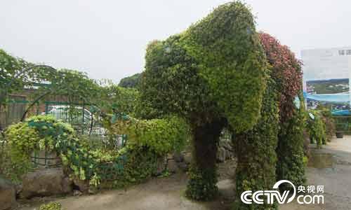 [绿色时空]鲜花混搭创意有道 4月9日