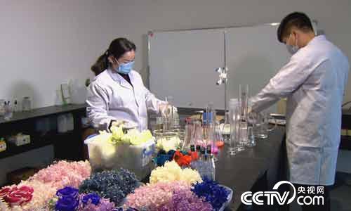 [绿色时空]鲜花混搭创意有道 4月9日