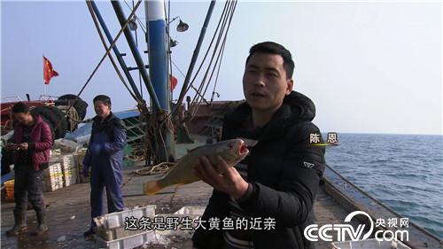 致富经：眼光毒辣的他三天两夜大海捞金(20170413)