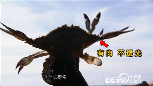 致富经：眼光毒辣的他三天两夜大海捞金(20170413)