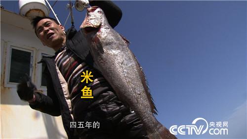 致富经：眼光毒辣的他三天两夜大海捞金(20170413)