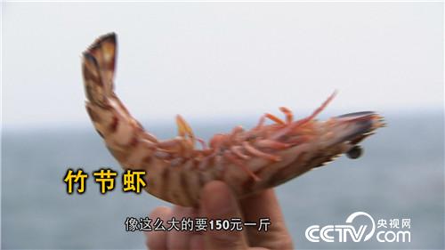 致富经：眼光毒辣的他三天两夜大海捞金(20170413)