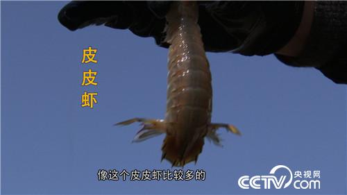 致富经：眼光毒辣的他三天两夜大海捞金(20170413)