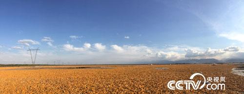 国内首部聚焦种业文化纪录片《种业中国》将于4月14日登陆央视播出