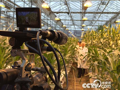 国内首部聚焦种业文化纪录片《种业中国》将于4月14日登陆央视播出
