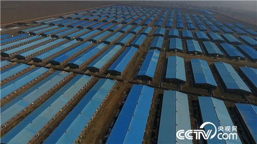 致富经：房地产老板养猪为何不怕猪价跌(20170419)