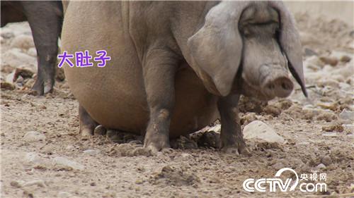 致富经：90后小伙的财富逆袭(20170421)