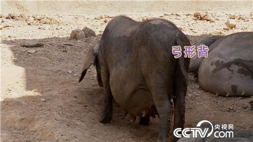 致富经：90后小伙的财富逆袭(20170421)