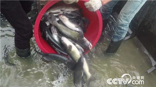 致富经：五个月赔光200万后 他凭啥绝地翻身 4月28日