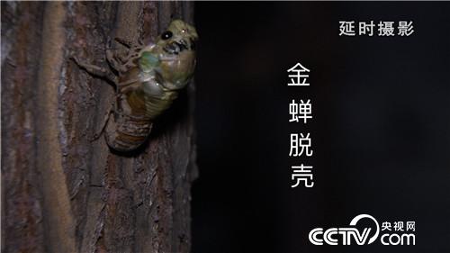 致富经：穿越时空的财富(20170516)