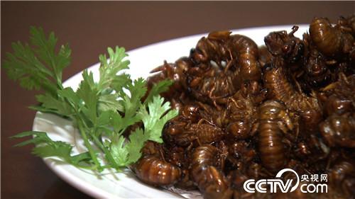 致富经：穿越时空的财富(20170516)