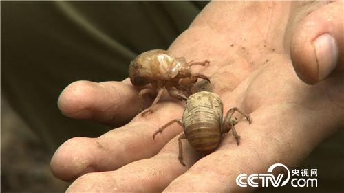 致富经：穿越时空的财富(20170516)