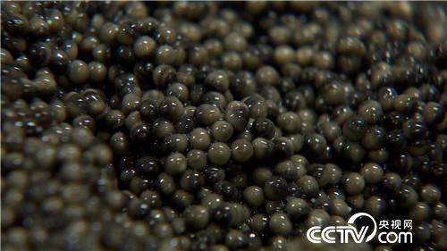 致富经：穿越时空的财富(20170516)