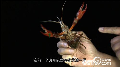 致富经：欢喜冤家吵架 吵来千万财(20170517)