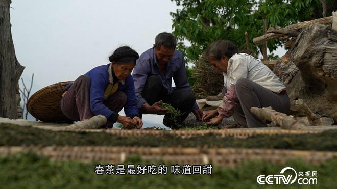 饱受争议的女人在古老村寨的财富发现