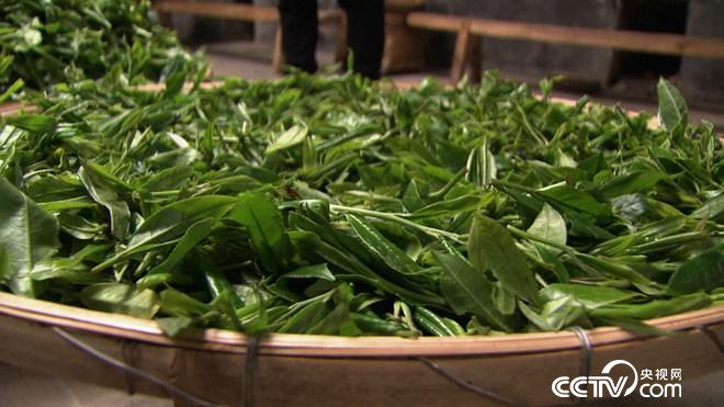 饱受争议的女人在古老村寨的财富发现