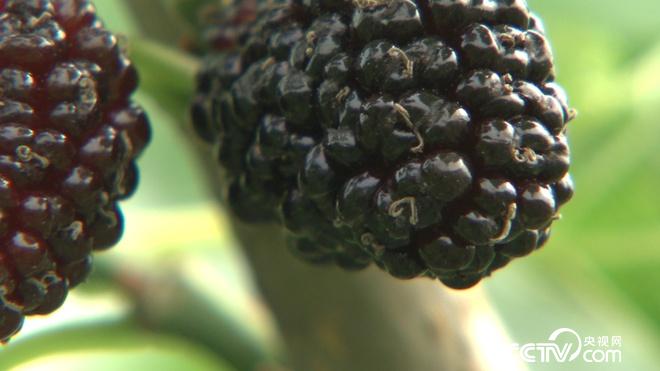 从流汗和近视中发现亿万财富商机