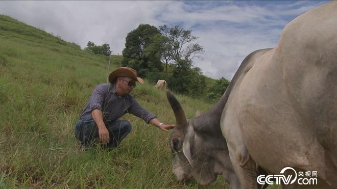 牛仔和傻子的亿万财富迷局