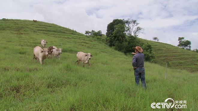 牛仔和傻子的亿万财富迷局
