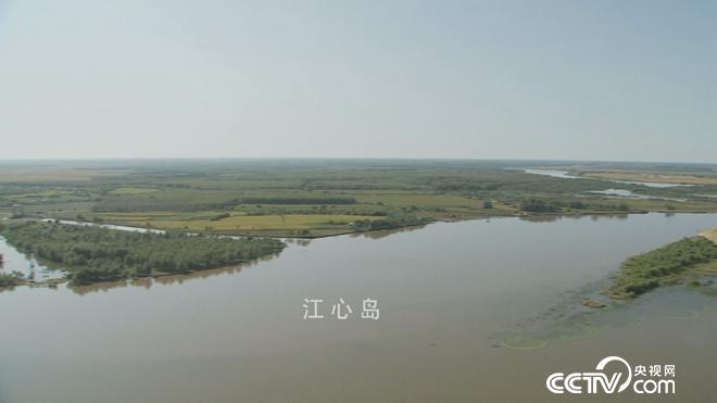 牛仔和傻子的亿万财富迷局