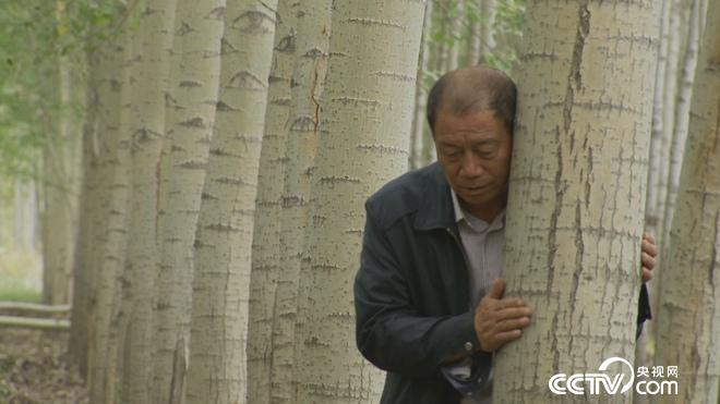 牛仔和傻子的亿万财富迷局